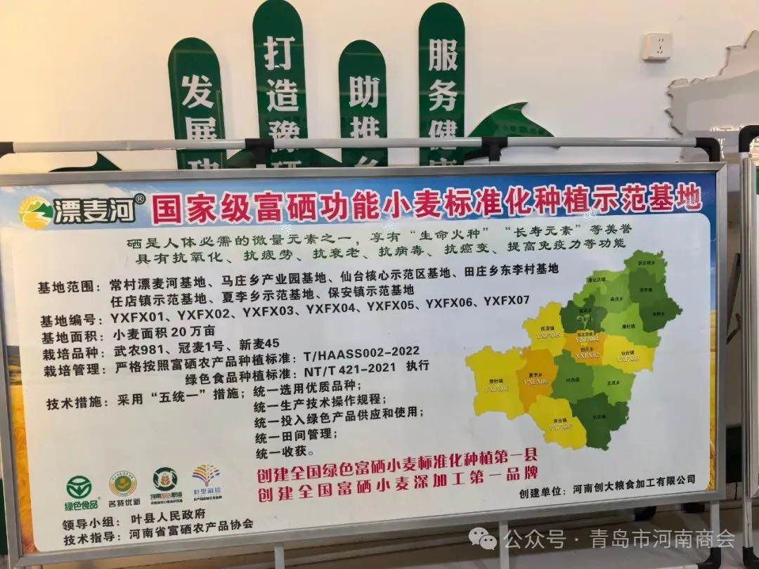 1765851569283063.png 0d51052b-f4fd-4ada-95d1-5c9d834adeb3.png